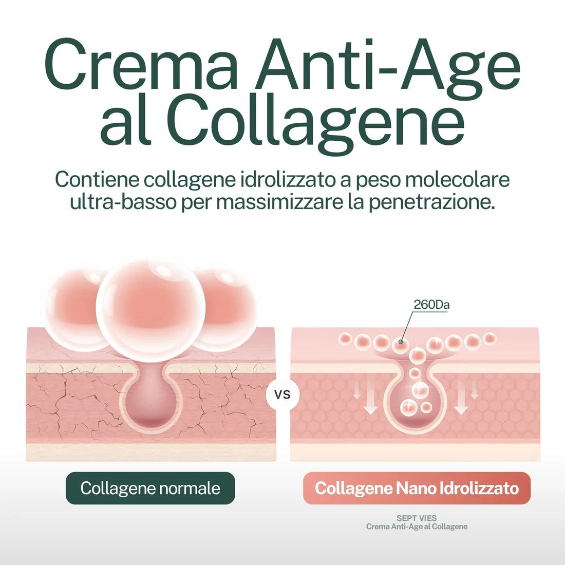 Collagene idrolizzato a peso molecolare ultra-basso