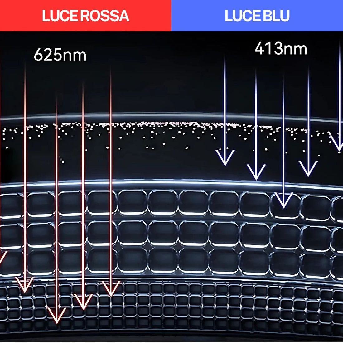 Luce rossa e luce blu